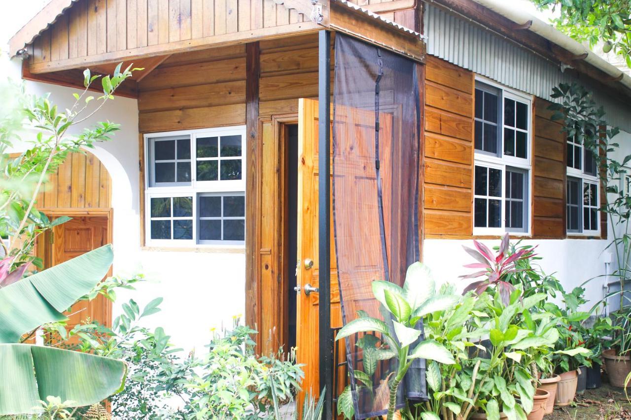 Van Villa Guesthouse Negril Exteriör bild